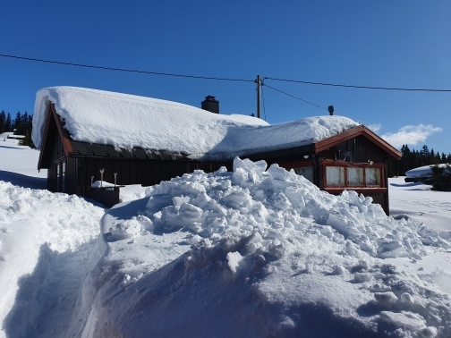 Paradiset til Arne Stonor