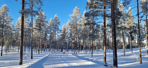 Vuokatti, Finland, Masters